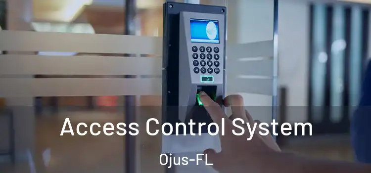  Access Control System Ojus-FL
