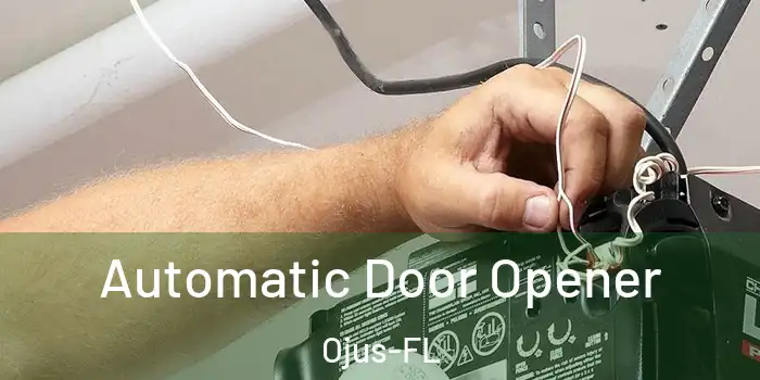 Automatic Door Opener Ojus-FL