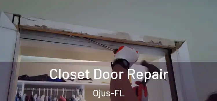  Closet Door Repair Ojus-FL