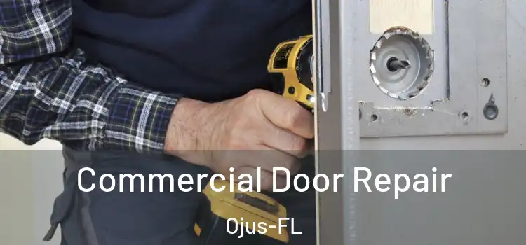  Commercial Door Repair Ojus-FL