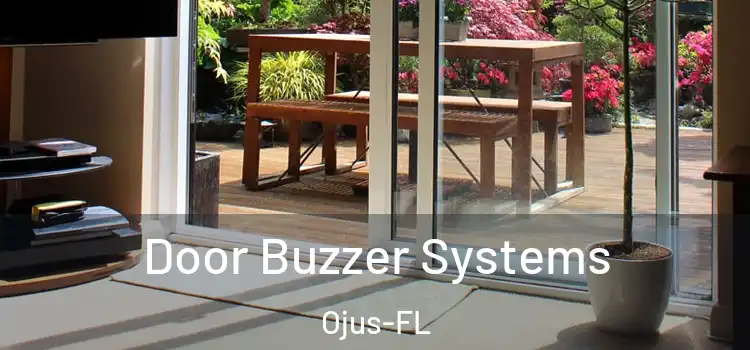  Door Buzzer Systems Ojus-FL