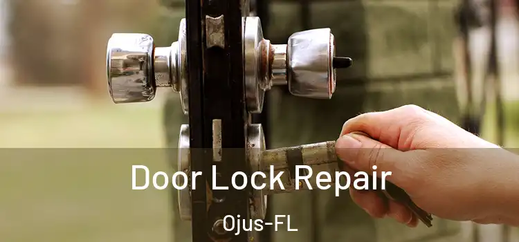  Door Lock Repair Ojus-FL