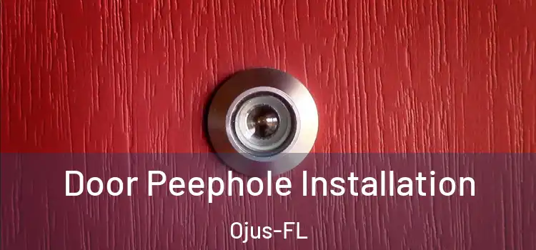  Door Peephole Installation Ojus-FL
