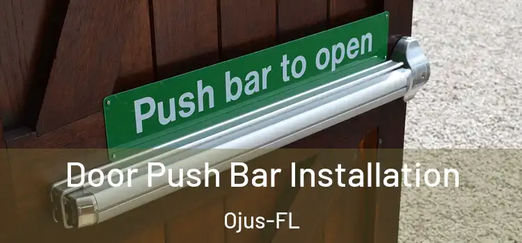  Door Push Bar Installation Ojus-FL