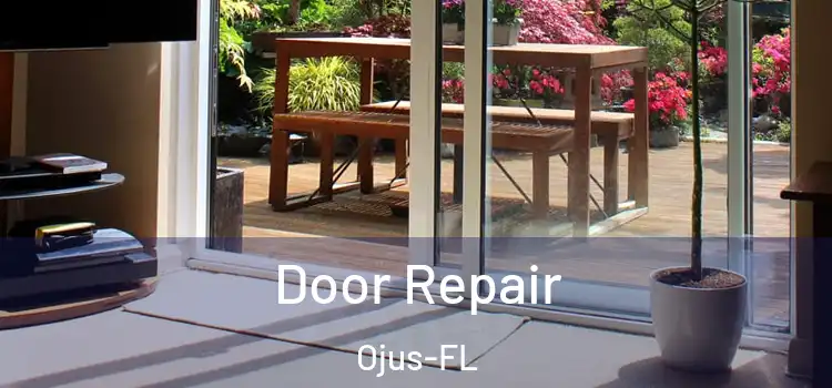  Door Repair Ojus-FL