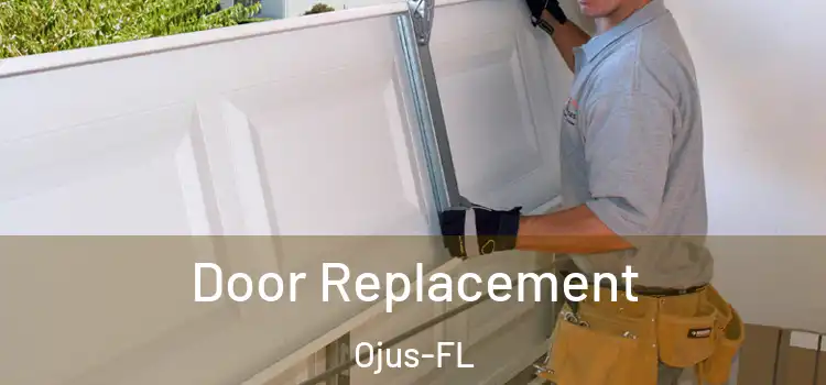  Door Replacement Ojus-FL