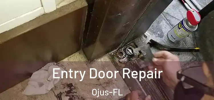  Entry Door Repair Ojus-FL