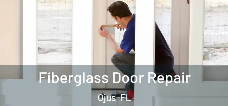  Fiberglass Door Repair Ojus-FL