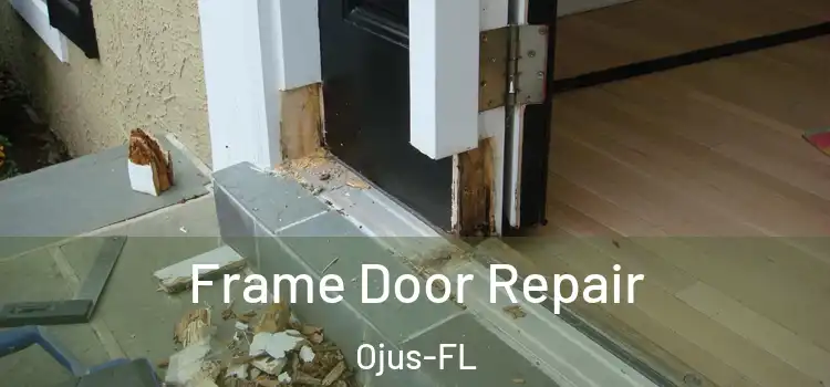  Frame Door Repair Ojus-FL