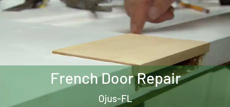  French Door Repair Ojus-FL