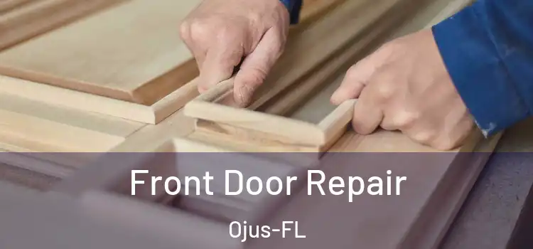  Front Door Repair Ojus-FL