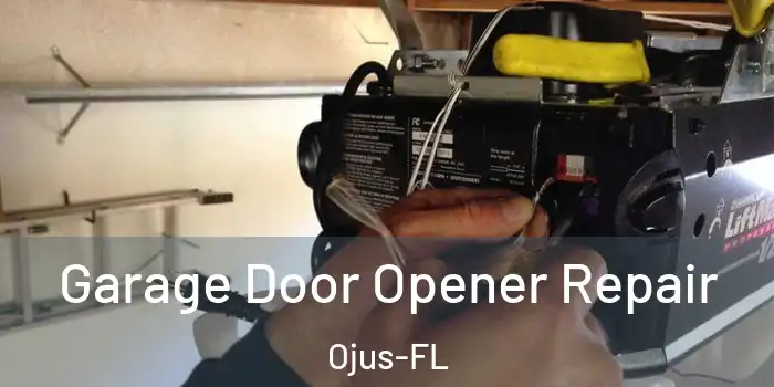  Garage Door Opener Repair Ojus-FL