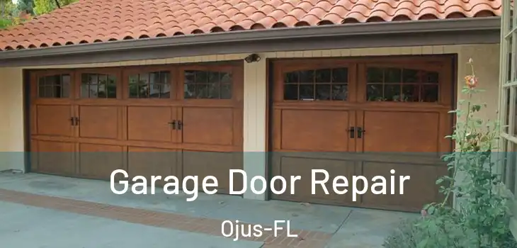  Garage Door Repair Ojus-FL