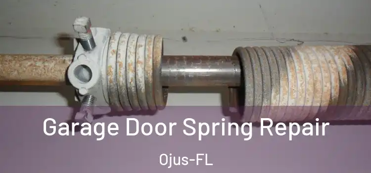  Garage Door Spring Repair Ojus-FL