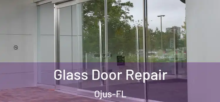  Glass Door Repair Ojus-FL