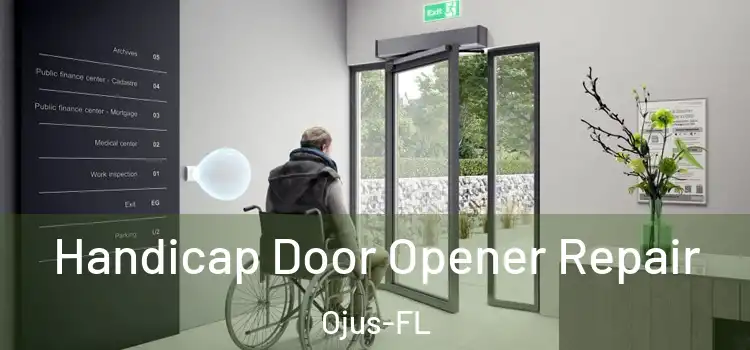  Handicap Door Opener Repair Ojus-FL