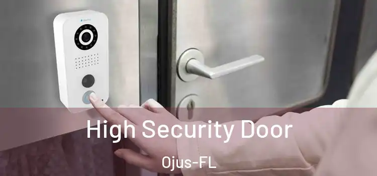  High Security Door Ojus-FL