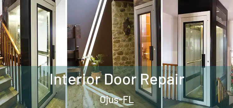  Interior Door Repair Ojus-FL