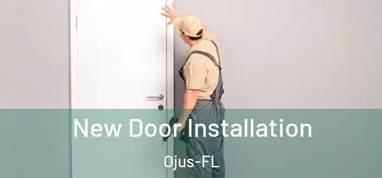  New Door Installation Ojus-FL