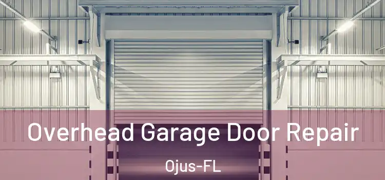  Overhead Garage Door Repair Ojus-FL