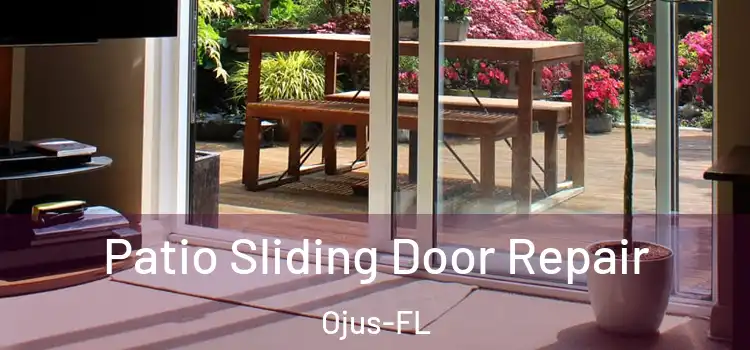  Patio Sliding Door Repair Ojus-FL