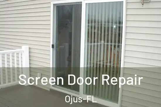  Screen Door Repair Ojus-FL