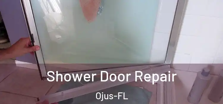 Shower Door Repair Ojus-FL