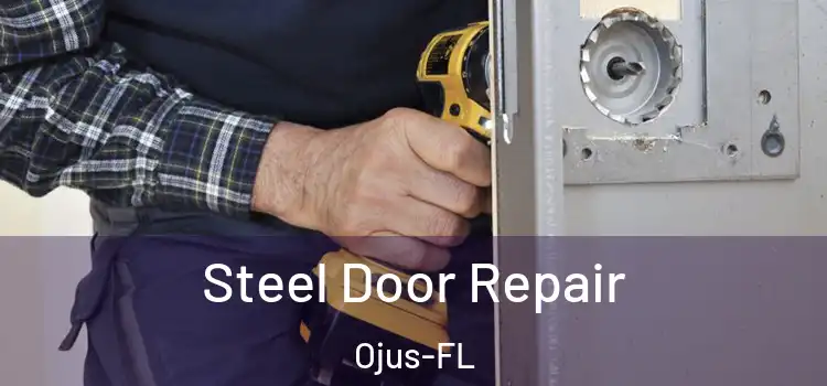  Steel Door Repair Ojus-FL
