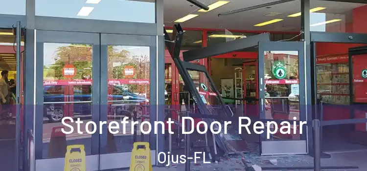  Storefront Door Repair Ojus-FL