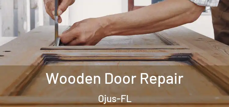  Wooden Door Repair Ojus-FL